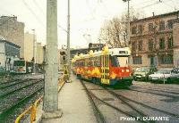 agrandir la photo n°5