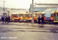 agrandir la photo n°7